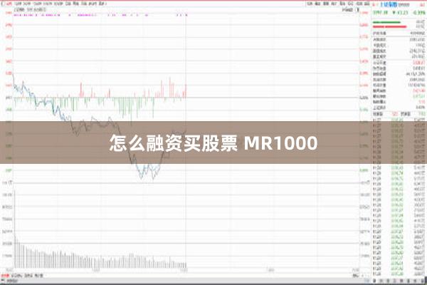 怎么融资买股票 MR1000