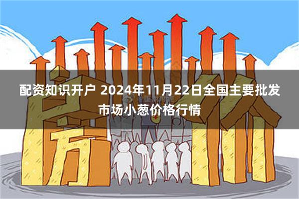 配资知识开户 2024年11月22日全国主要批发市场小葱价格行情