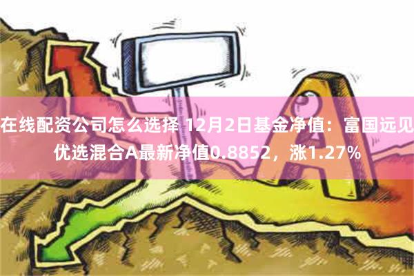 在线配资公司怎么选择 12月2日基金净值：富国远见优选混合A最新净值0.8852，涨1.27%